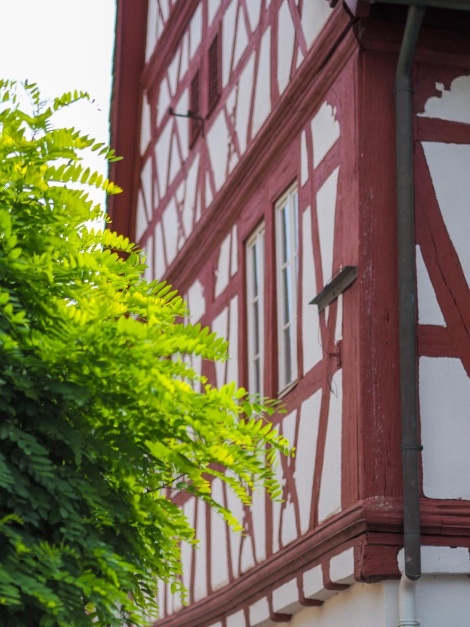 Weinstrasse No 8 "Einfach-Gut-Uebernachten" Leinsweiler Dış mekan fotoğraf